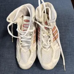 Item thumbnail for item 5de36d44-dbd2-4d00-a25b-757e8ac03152