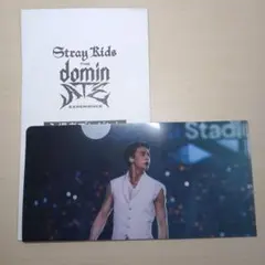 スキズ　映画特典　チケットクリアファイル　ヒョンジン　Stray Kizs