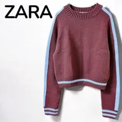 【ザラZARA】ブルー ライン ブラウン クロップドニットセーター M