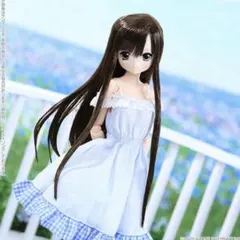 アゾン azone リセSweet Days コーディネイトドールset