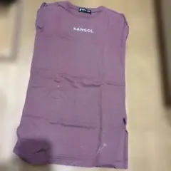 Item thumbnail for item 80d032d4-ee12-4d69-b5e9-013c615185ea