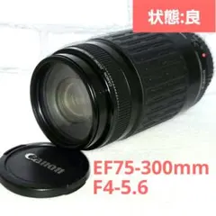 Item thumbnail for item 85529f13-f325-4aa6-b2a0-1a62867d4d15