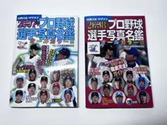 Item thumbnail for item e5b4a18e-d306-4c84-a2d5-70097034ea55