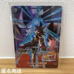 R*M様 たったひとりの最終決戦 C ★ FB05 ブースターパック『未知なる冒