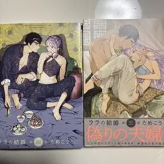 ララの結婚 3巻4巻セット売り