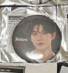 Item thumbnail for item 2d242b3f-7102-48f6-923f-03a4fcbc0111