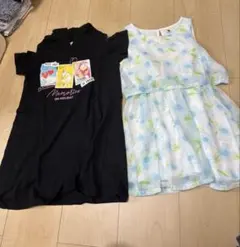 ワンピース110
