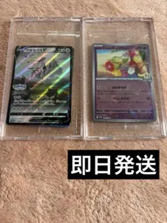 アルセウスV プロモ リーリエのキュワワー プロモ 未開封 ポケモンカード