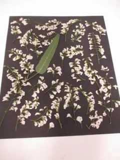 Item thumbnail for item ac5c0559-f321-4b67-8e08-40ff98812c09