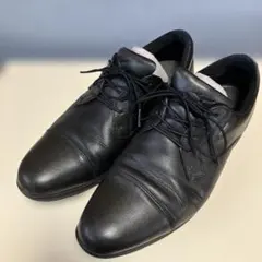 Mizuno ミズノビジネスシューズ/27cm/ゴアテックス 本革 ①