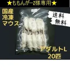 2025年最新】冷凍マウスの人気アイテム - メルカリ