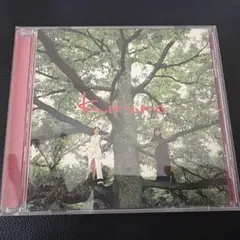 【結婚式にて使用】Kiroro 「長い間〜キロロの森」