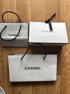 CHANEL ショップ袋 大小セット