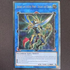 混沌の戦士カオスソルジャー　フランス　OP17 FR レリーフ　英語　EU