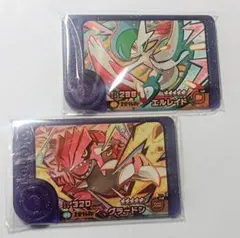 ポケモンフレンダ　ベストタッグ　リザードン　エルレイド