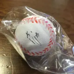 2025年最新】江越 サインの人気アイテム - メルカリ