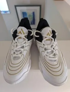 週末セール♡【NIKE】バスケットシューズ　ジュニア　22.5