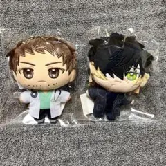 スロウダメージ スロダメ キラメモ ぬいパル ニトロキラル レイ トワ