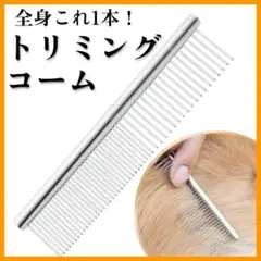 Item thumbnail for item 17b936c6-aea0-47ba-b533-43015d1ca10d