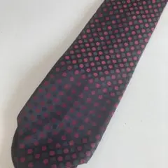 SPIGA ネクタイ