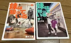 妹は知っている1〜2巻