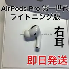 AirPods Pro イヤホン 右耳　第1世代　A2083 Apple