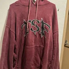 PUNK'S NOT DEAD TSFロゴパーカー