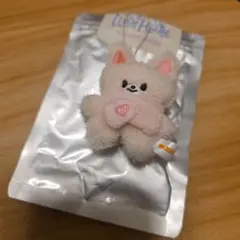 スキズ　ペンミ　マイクロキーリング　アイエン　フォクシニー