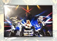 2026年最新】SuperBeaver パネルの人気アイテム - メルカリ