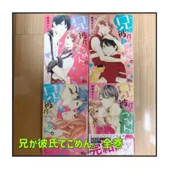 兄が彼氏で、ごめん。 全巻セット 細堀ゆかり
