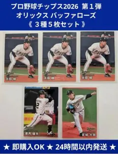 2026年最新】プロ野球チップスカード まとめ売りの人気アイテム - メルカリ