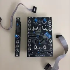 中古】 Qu-bit Electronix Chord v2 - メルカリ