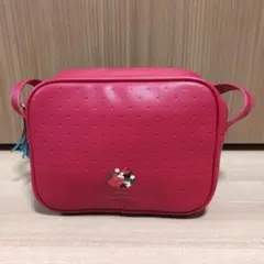 ディズニー　ショルダーバッグ　ミニー　カメラ用