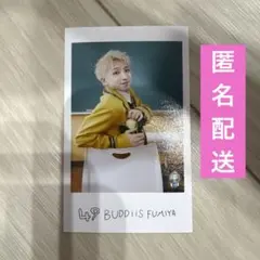 EBiDAN ミニフォト　隣の席セット　BUDDiiS FUMIYA