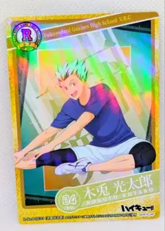ハイキュー!! きゃらくたぶるカードグミ Vol.3 木兎光太郎【カードのみ】