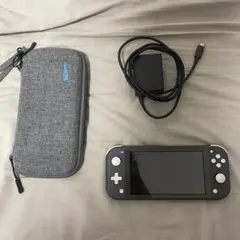 (ジャンク)Nintendo Switch Lite グレー 充電器・ケース付き