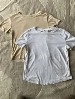 MANGO Tシャツ2枚 M