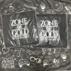 ZONE OF GOLD RYUJI IMAICHI シートクッション2枚セット