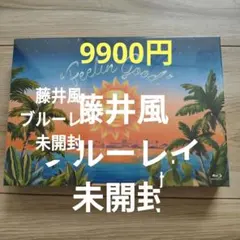SCawaii!特別編集 Pair 尊い二人。 藤本洸大 ミニフォトカードのみ