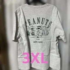 ユニクロ　Tシャツ