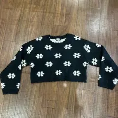 Item thumbnail for item 47f17d32-19d7-4c43-99d0-2a055ee2bba5