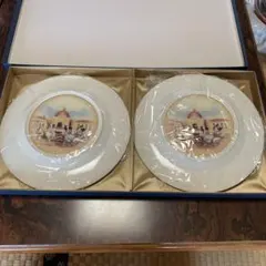 ディズニー ミッキー プレート 2枚セット