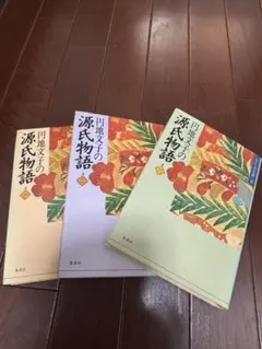 円地文子　源氏物語 3冊まとめ売り 1.2.3巻　わたしの古典のサムネイル