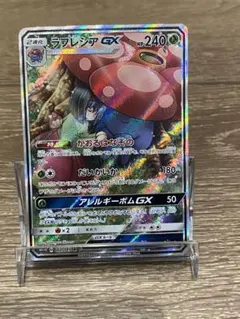 2026年最新】ラフレシアの人気アイテム - メルカリ
