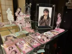 FRUITS ZIPPER 松本かれん グッズまとめ売り