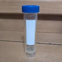 Item thumbnail for item e94f757f-8b53-426c-a55c-b37b7261aa50