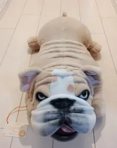 永谷園 【非売品】 ブルドッグ リアールちゃん シリアルナンバー00117