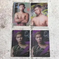 Item thumbnail for item e15cb2bd-63b8-4b8a-97f5-ca69cff10bc8