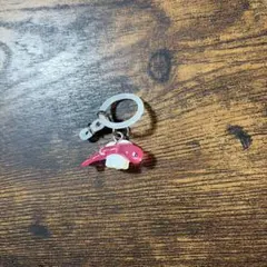 ポケモン めじるしアクセサリー シャリタツ