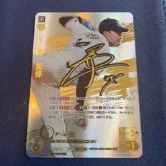 ドリームオーダー 山川穂高 SSPP サイン入り - メルカリ